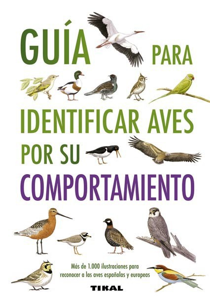 Guía para identificar aves por su comportamiento