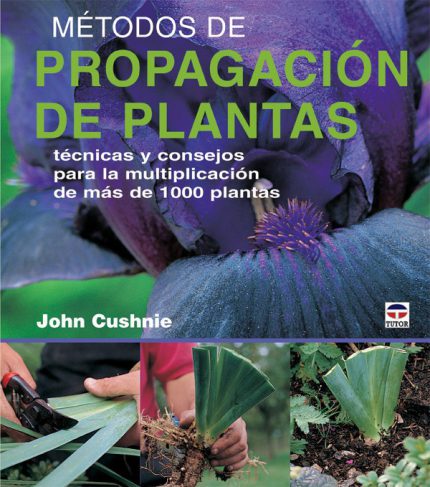 Métodos de propagación de las plantas