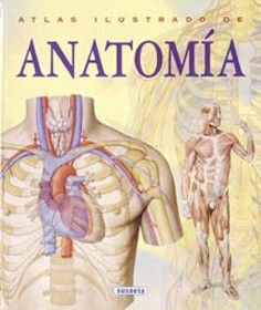 Atlas ilustrado de anatomía
