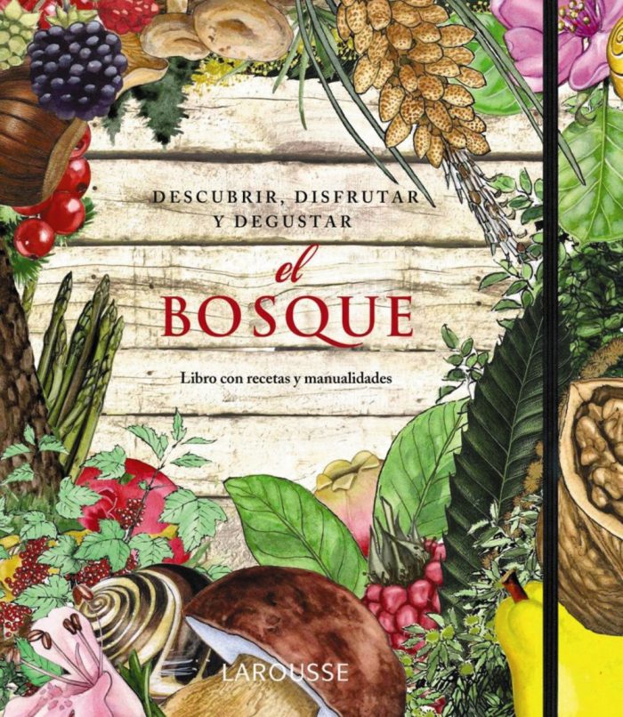 El Bosque. Descubrir, disfrutar y degustar