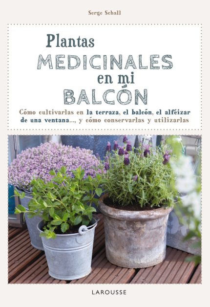 Plantas medicinales en mi balcón