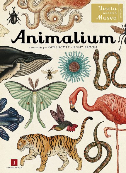 Animalium