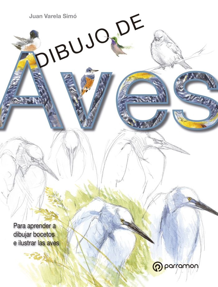 Dibujo de aves