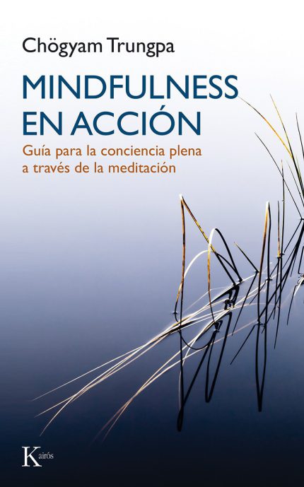 Mindfulness en acción