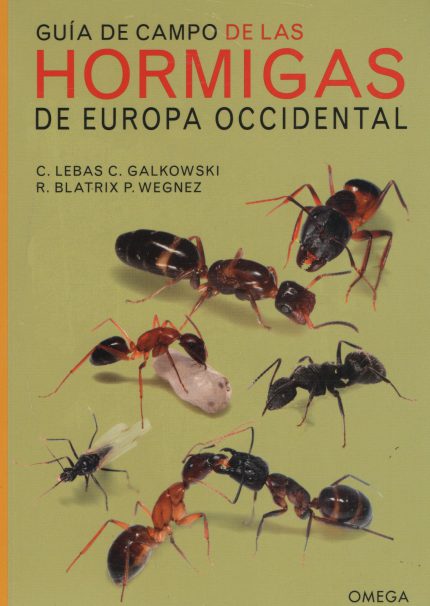 Guía de campo de las hormigas de Europa Occidental