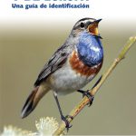 Aves de España y de Europa guía de identificación